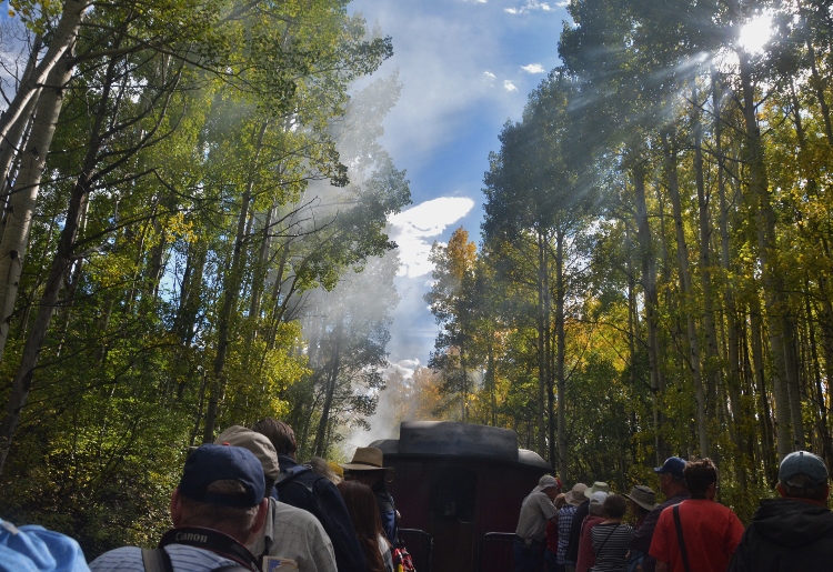 train through autumn colors